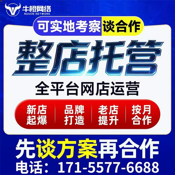 兰溪电商代运营