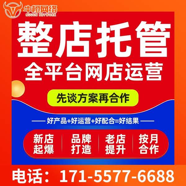 兰溪电商代运营
