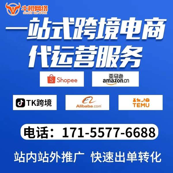 兰溪电商代运营